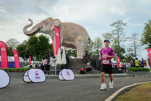 BIB: 
                            <button type="button" onclick="openModal(26528735)" class="btn btn-primary btn-sm float-right btn-popup" data-toggle="modal" data-target=".modal-high-quality">
                        <i class="fas fa-shopping-cart"></i> Add to Cart
                    </button>
                                            <button type="button" onclick="isThisMe(26528735, true)" class="btn btn-success btn-sm float-right btn-popup btn-isme hidden" data-toggle="tooltip" data-placement="bottom" title="นี่คือรูปของคุณใช่ไหม คลิกที่นี่เพื่อเอาเข้าอัลบั้ม">
                        <i class="fas fa-plus"></i> Add to album
                    </button>
                    <button type="button" onclick="isThisMe(26528735, false)" class="btn btn-warning btn-sm float-right btn-popup btn-isnotme hidden">
                        <i class="fas fa-ban"></i> Remove from album
                    </button>